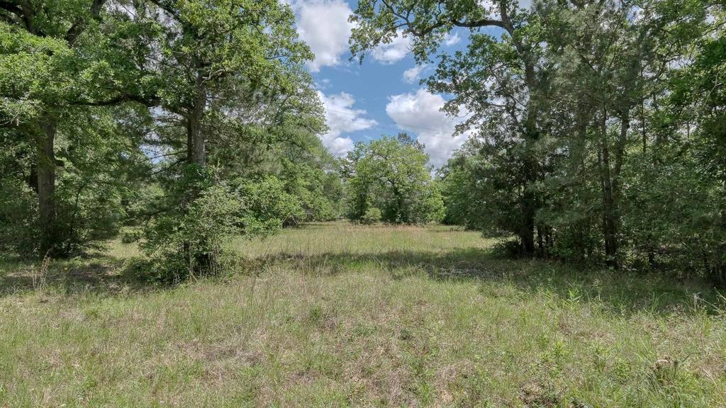 26620 Hunters Ridge Road, Hockley, Texas image 2