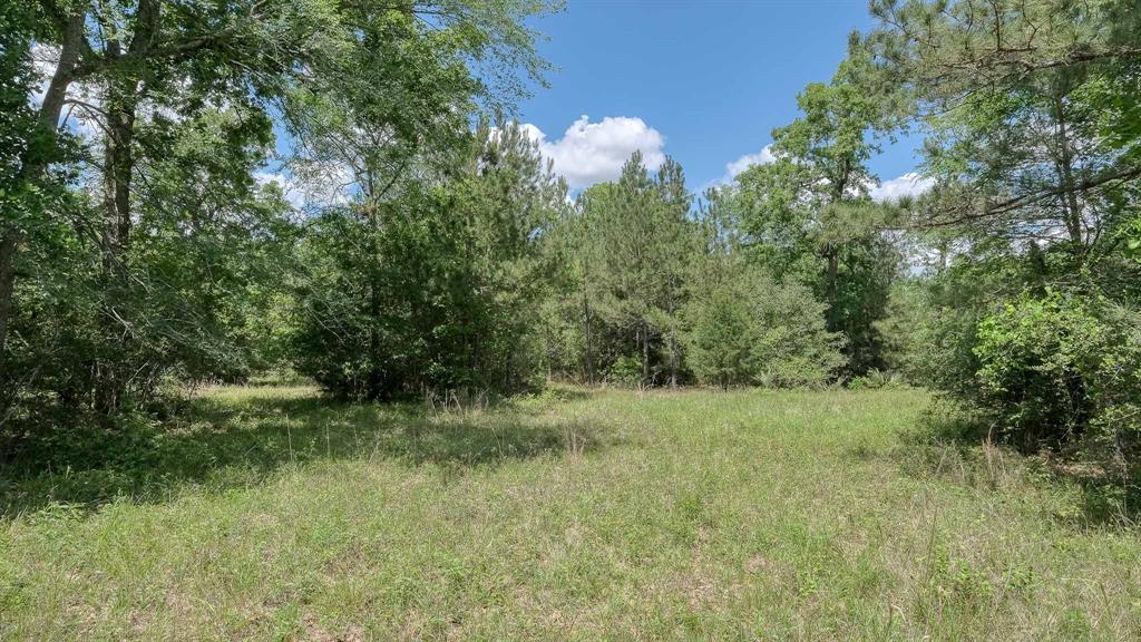 26620 Hunters Ridge Road, Hockley, Texas image 1