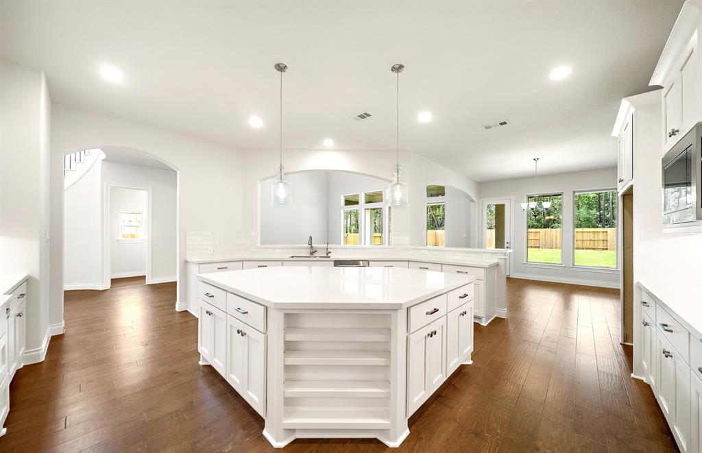 15622 Early Bird Lane, Conroe, Texas image 15