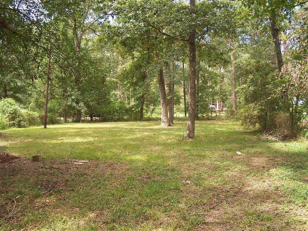 14498 Honey Hill Lane, Willis, Texas image 12