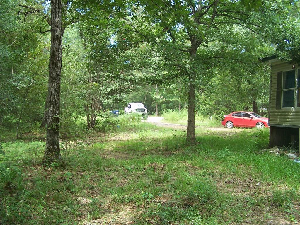 14498 Honey Hill Lane, Willis, Texas image 3