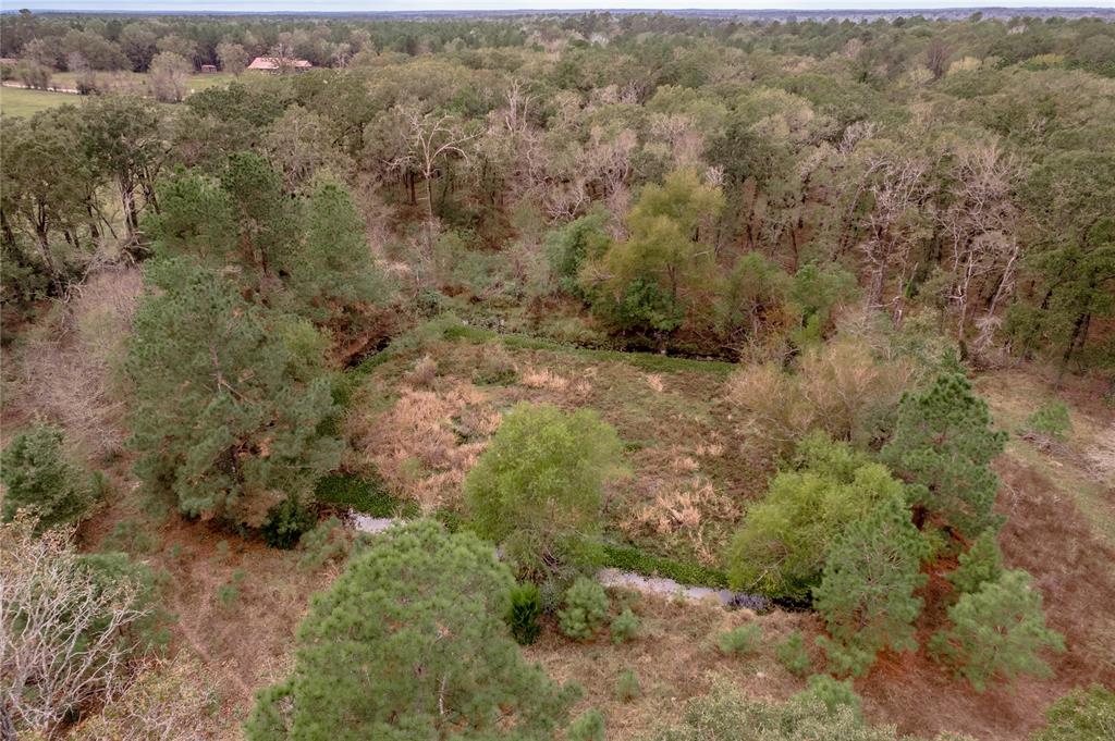 TBD S Us Hwy 287, Crockett, Texas image 9