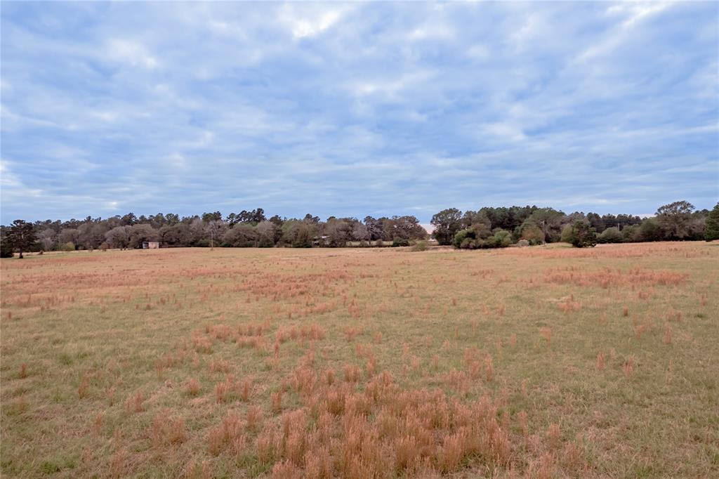 TBD S Us Hwy 287, Crockett, Texas image 37