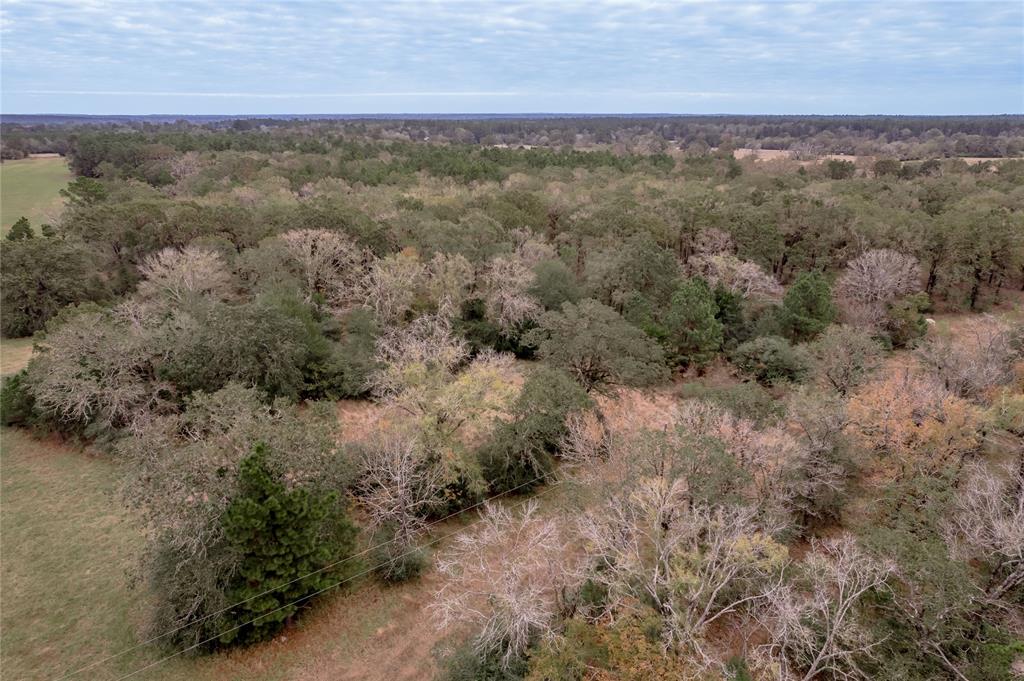 TBD S Us Hwy 287, Crockett, Texas image 39