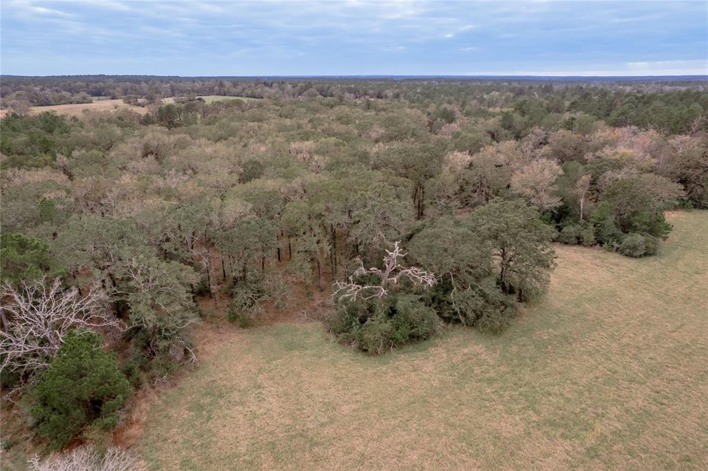 TBD S Us Hwy 287, Crockett, Texas image 28