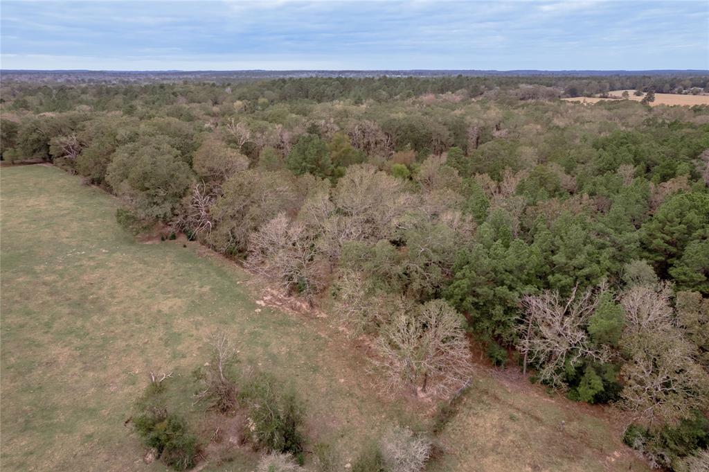 TBD S Us Hwy 287, Crockett, Texas image 30