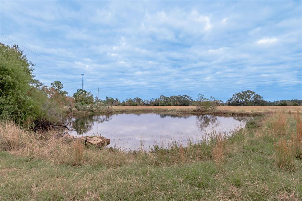 TBD S Us Hwy 287, Crockett, Texas image 19