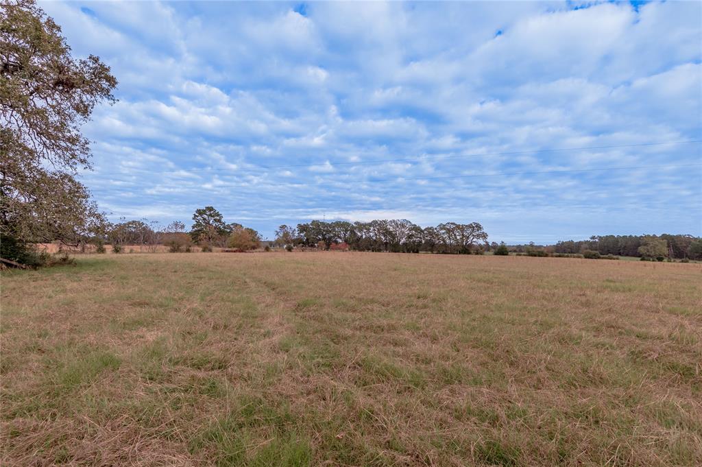 TBD S Us Hwy 287, Crockett, Texas image 18