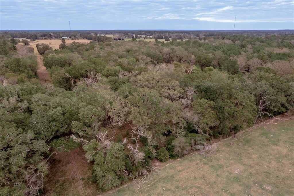 TBD S Us Hwy 287, Crockett, Texas image 31