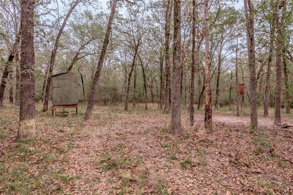 TBD S Us Hwy 287, Crockett, Texas image 41