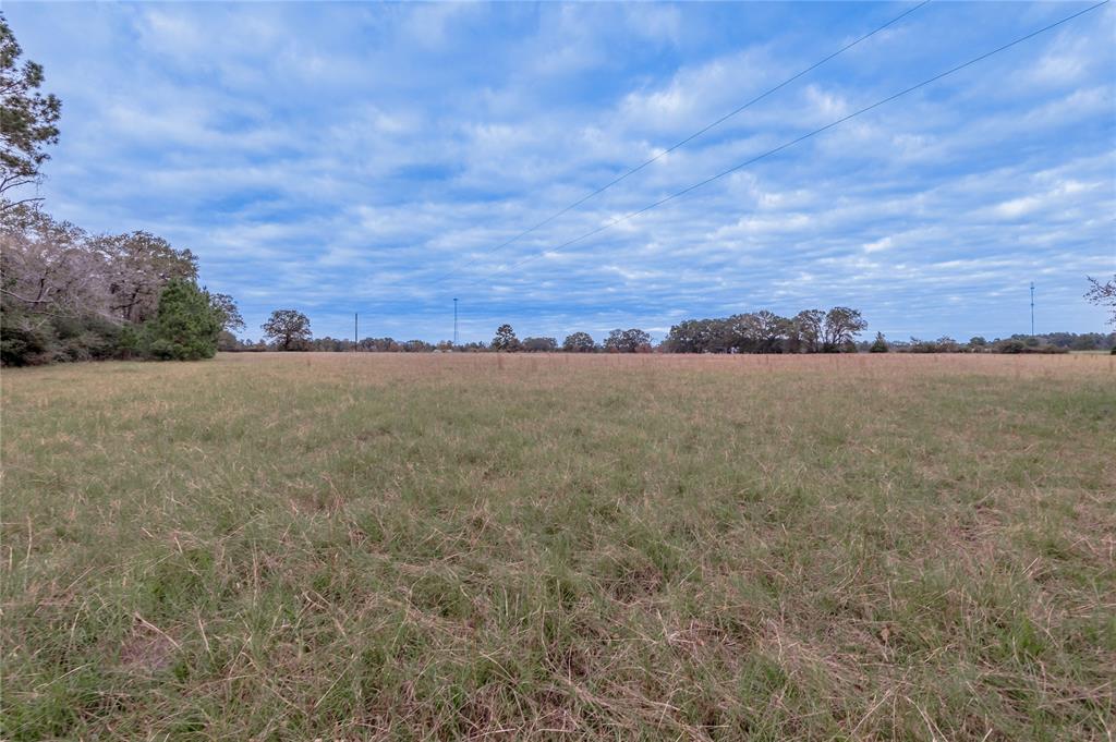 TBD S Us Hwy 287, Crockett, Texas image 11