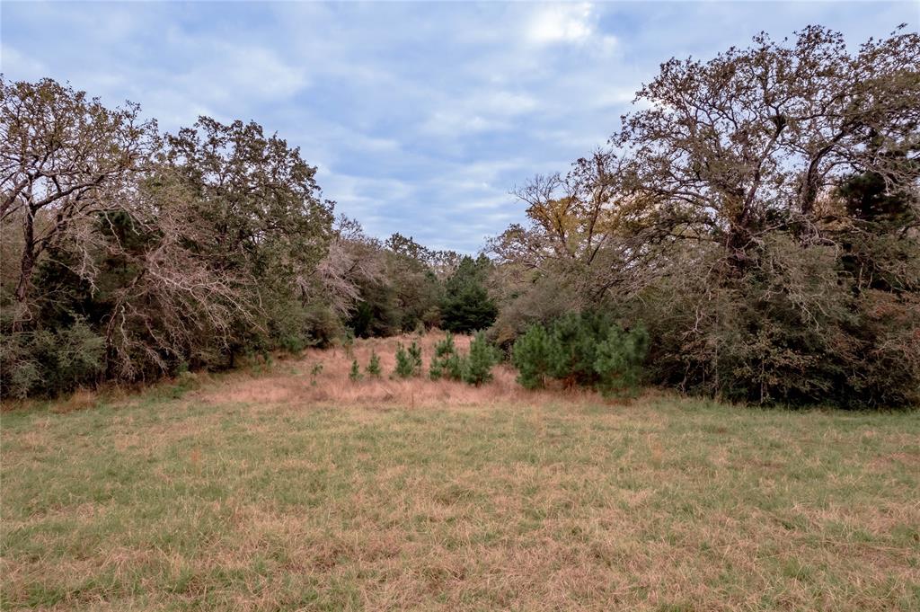 TBD S Us Hwy 287, Crockett, Texas image 38