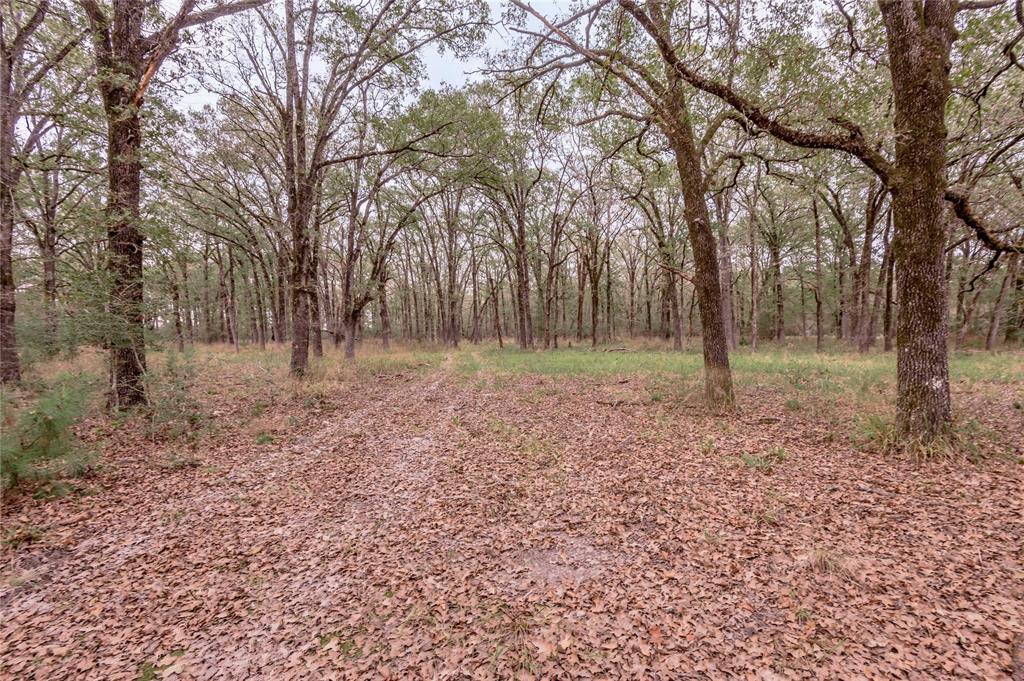 TBD S Us Hwy 287, Crockett, Texas image 14