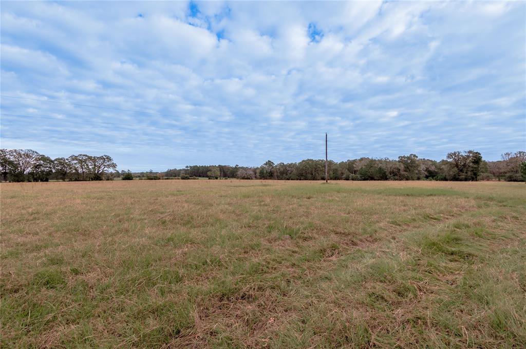 TBD S Us Hwy 287, Crockett, Texas image 17