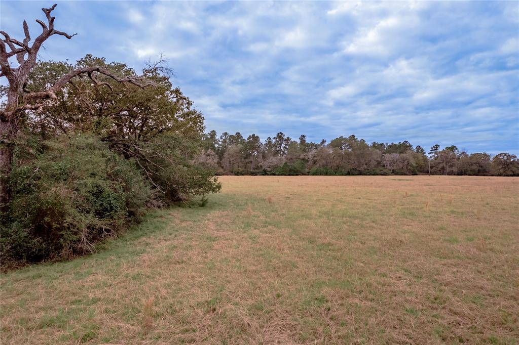 TBD S Us Hwy 287, Crockett, Texas image 29