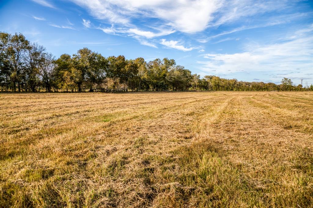 Lot 2 Sandy Hill Road, Brenham, Texas image 5