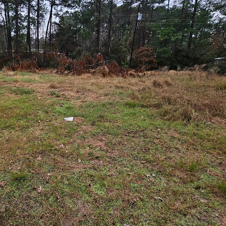 192 Elk Street, Onalaska, Texas image 5