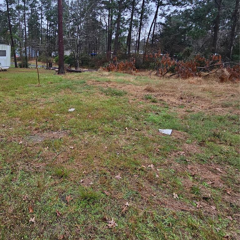 192 Elk Street, Onalaska, Texas image 6
