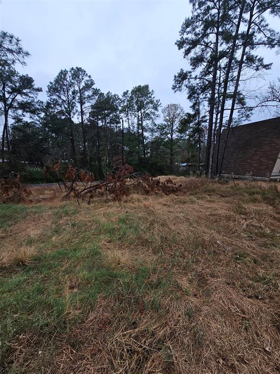192 Elk Street, Onalaska, Texas image 4
