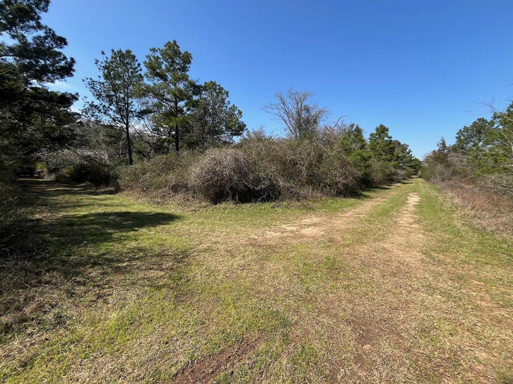 Hummingbird Lane, Hempstead, Texas image 1