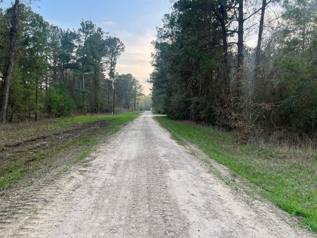 Pioneer Trail, Livingston, Texas image 1