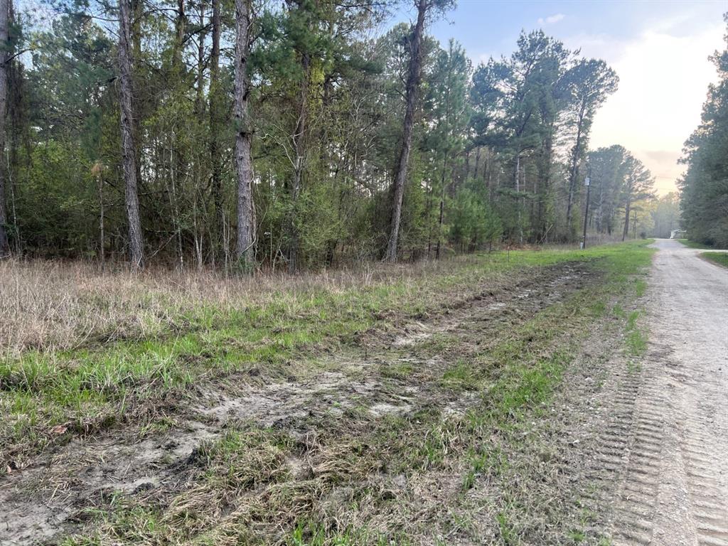 Pioneer Trail, Livingston, Texas image 7