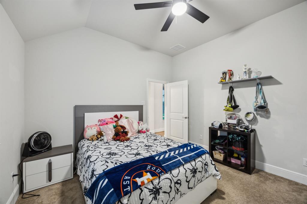 4921 Harbor Brooks Lane, League City, Texas image 21