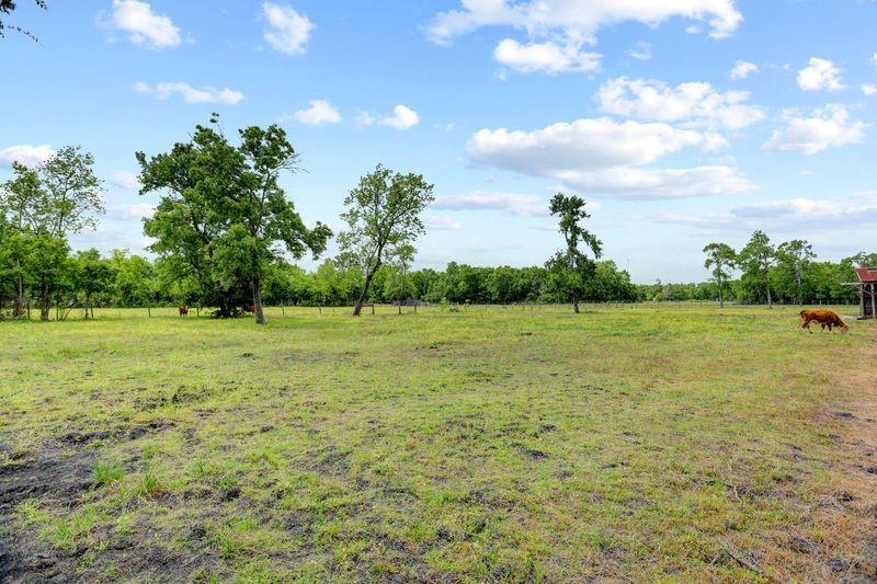 4249 County Road 571, West Columbia, Texas image 29