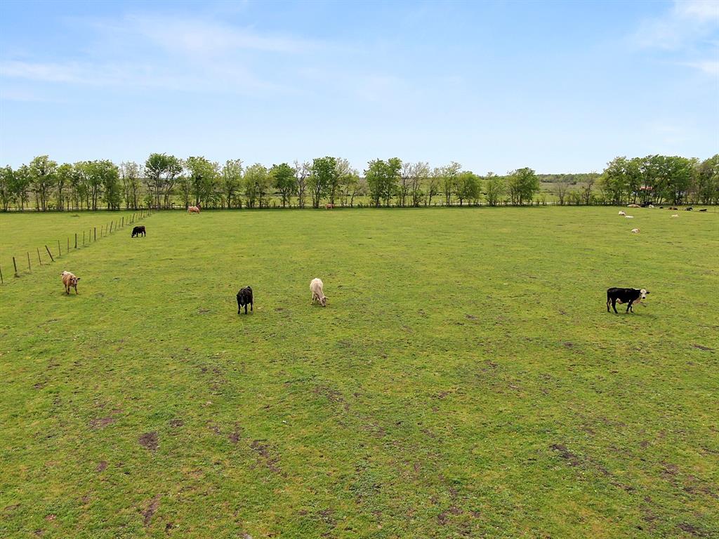 11425 County Road 316a, Navasota, Texas image 40