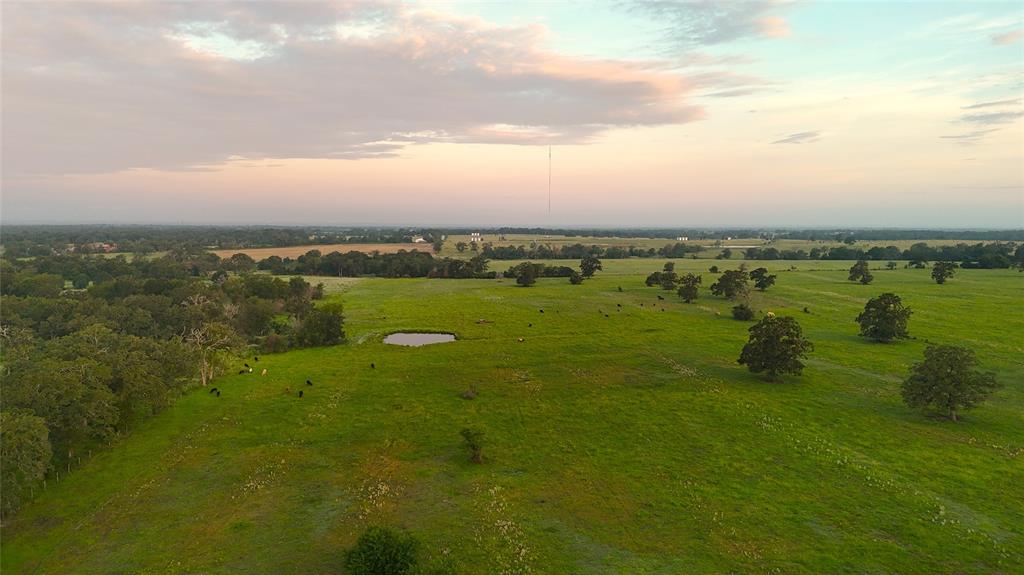 9233 County Road 103, Iola, Texas image 3