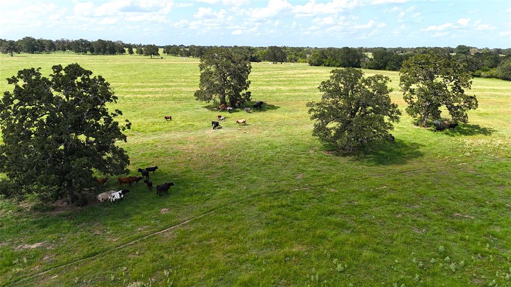 9233 County Road 103, Iola, Texas image 10