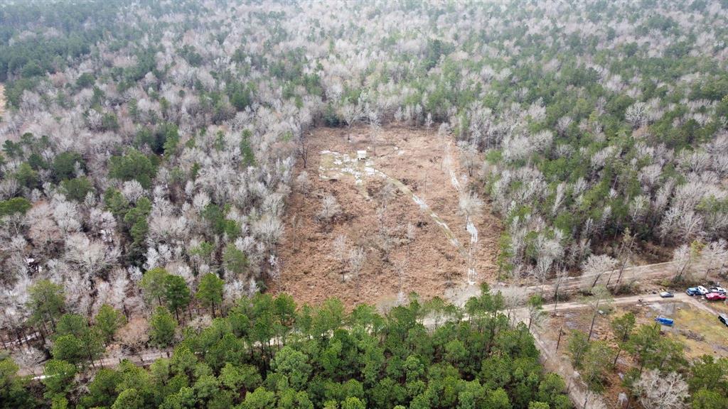 18145 Penson Road, Batson, Texas image 8