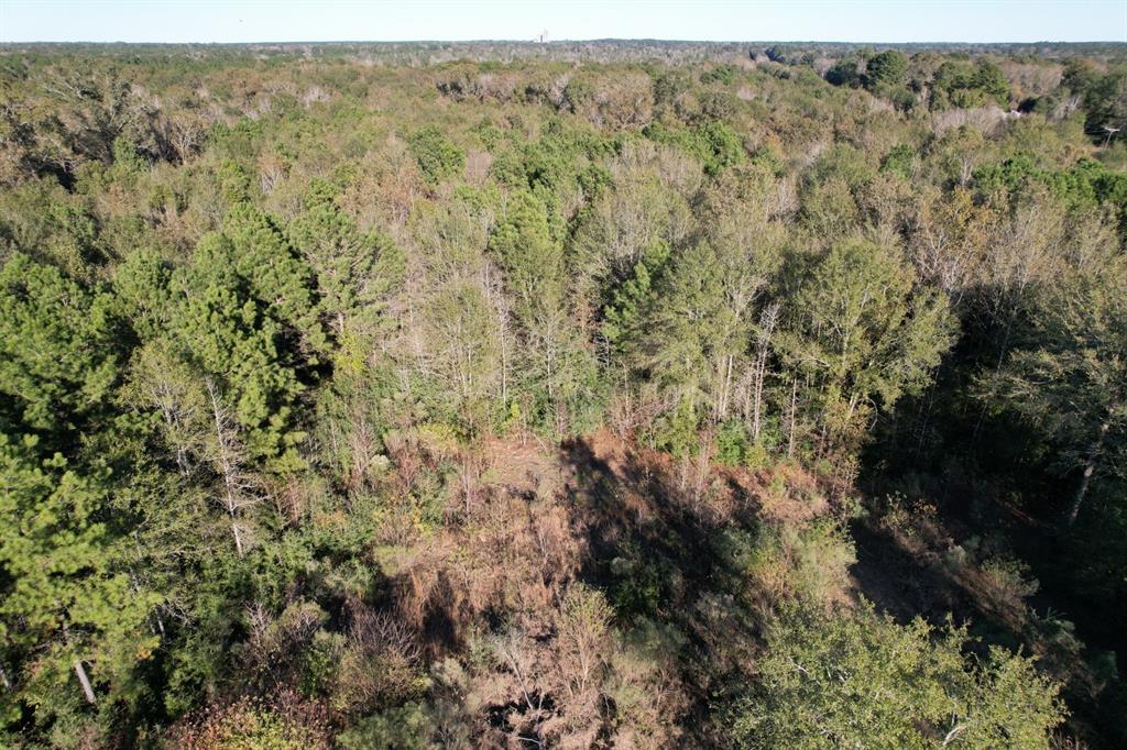 TBD Hwy 59, Tenaha, Texas image 11