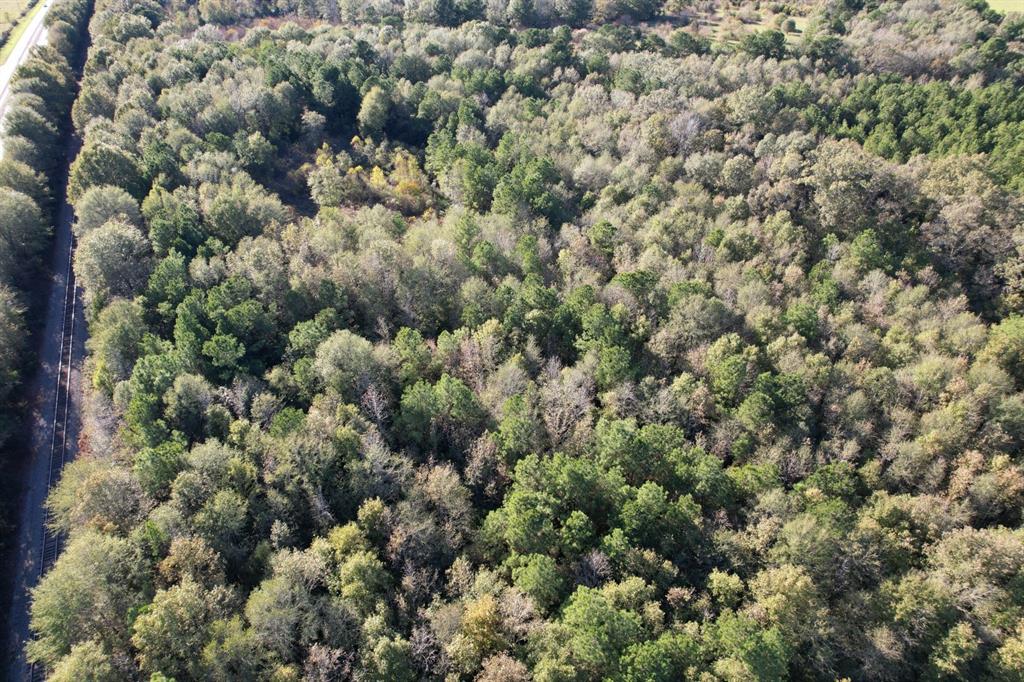 TBD Hwy 59, Tenaha, Texas image 14