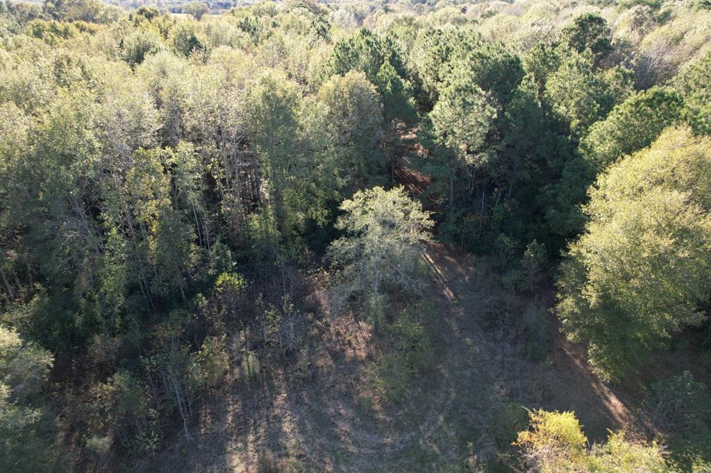 TBD Hwy 59, Tenaha, Texas image 1