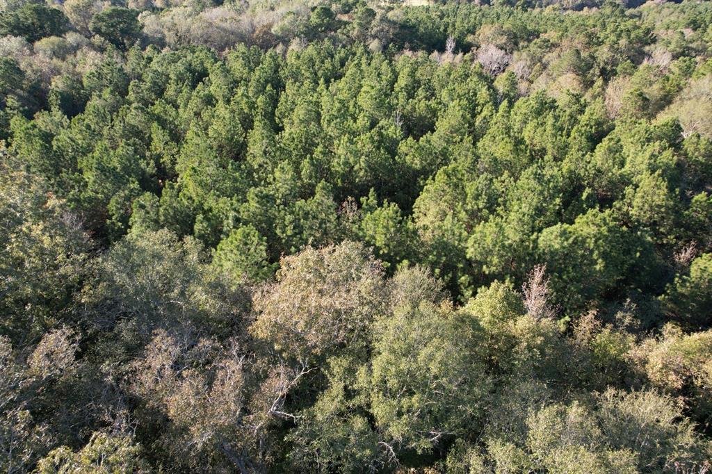 TBD Hwy 59, Tenaha, Texas image 18