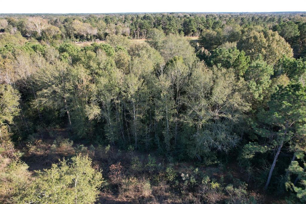 TBD Hwy 59, Tenaha, Texas image 13