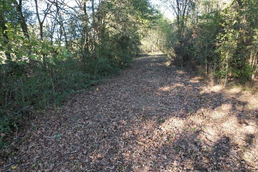 TBD Hwy 59, Tenaha, Texas image 20