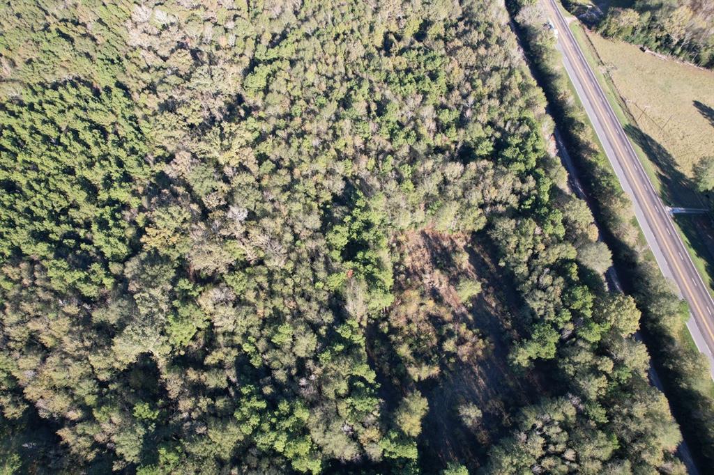 TBD Hwy 59, Tenaha, Texas image 9