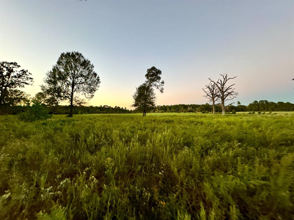 3 Hoke Road, Richards, Texas image 6