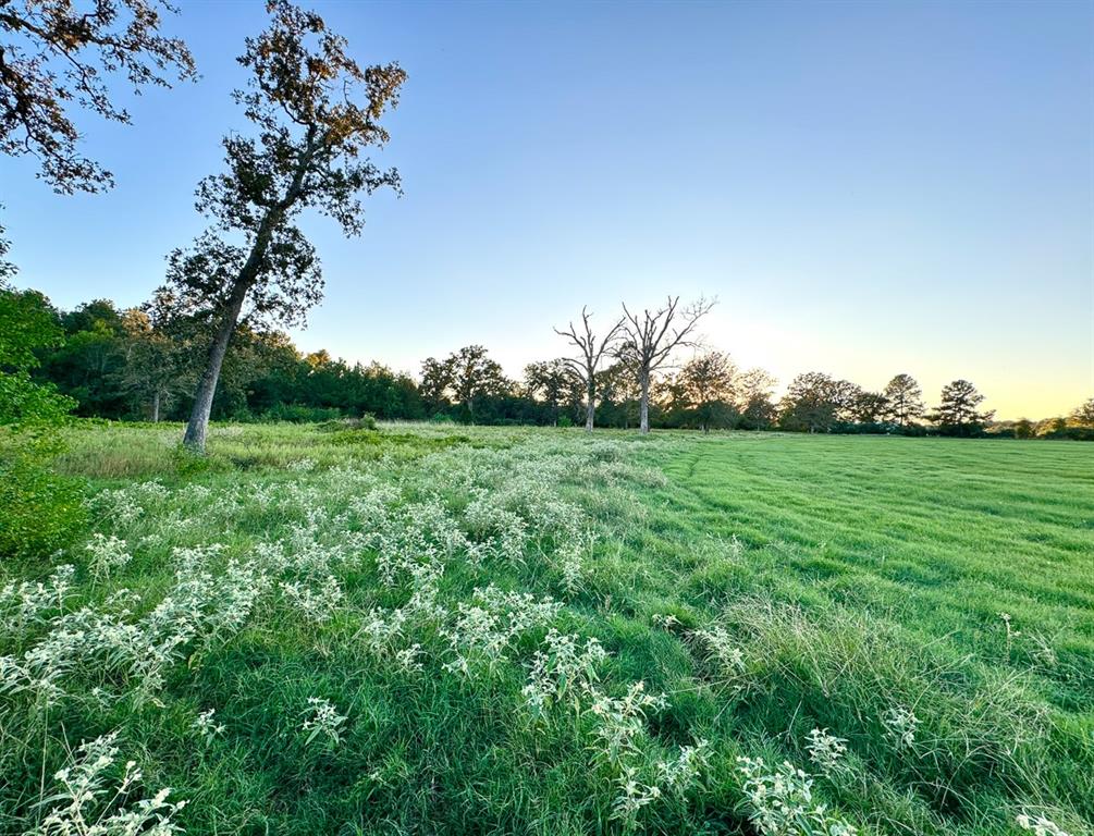 3 Hoke Road, Richards, Texas image 19