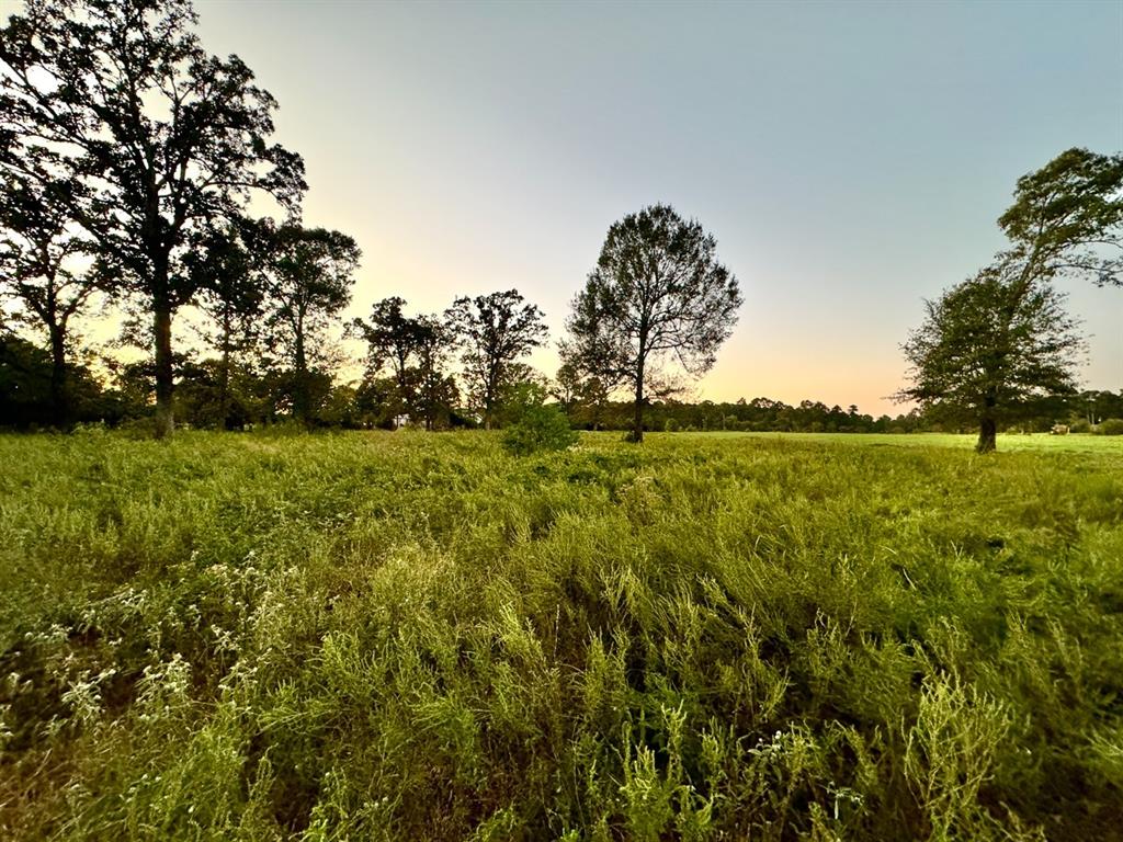 3 Hoke Road, Richards, Texas image 7