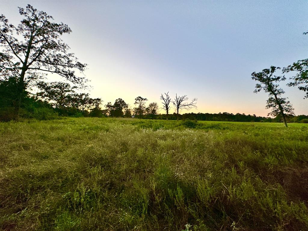 3 Hoke Road, Richards, Texas image 5