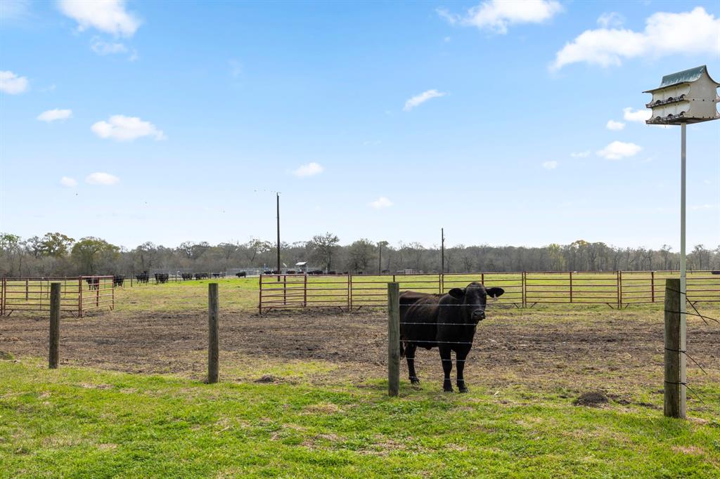 14793 County Road 272 Rd, East Bernard, Texas image 48