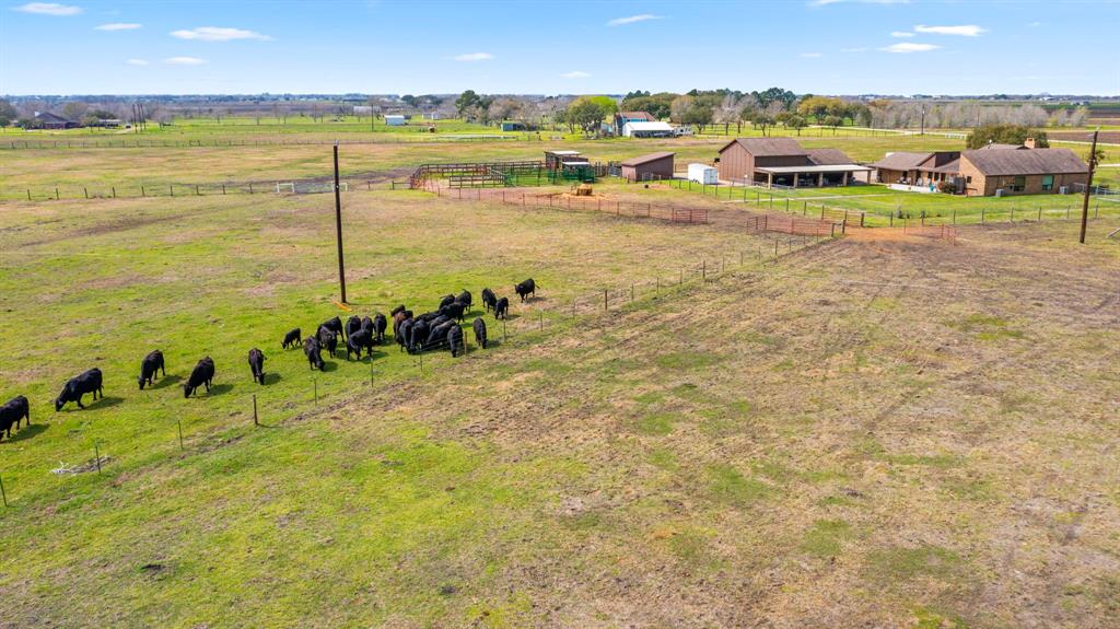 14793 County Road 272 Rd, East Bernard, Texas image 8