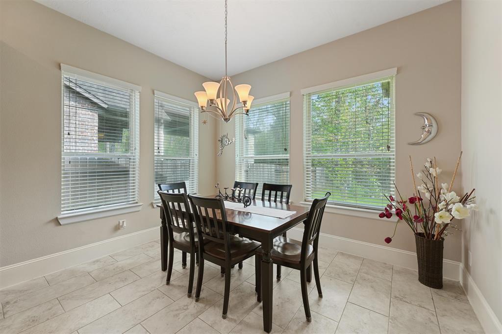 31407 Imperial Bluff Court, Spring, Texas image 12
