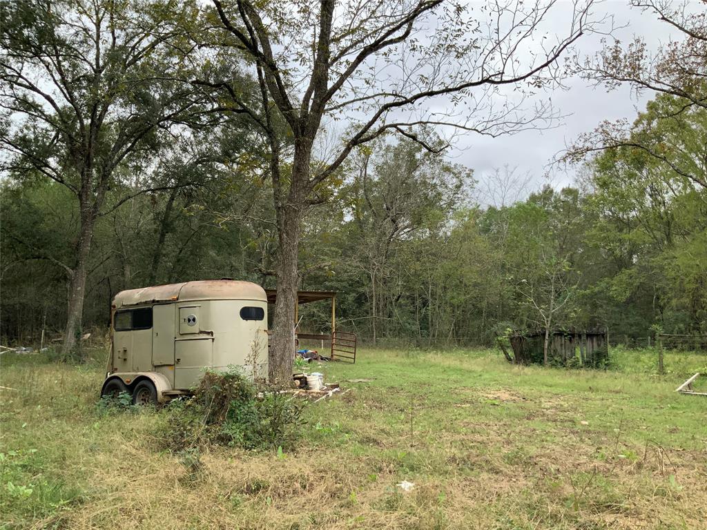 End Of Grand Avenue, Liberty, Texas image 4