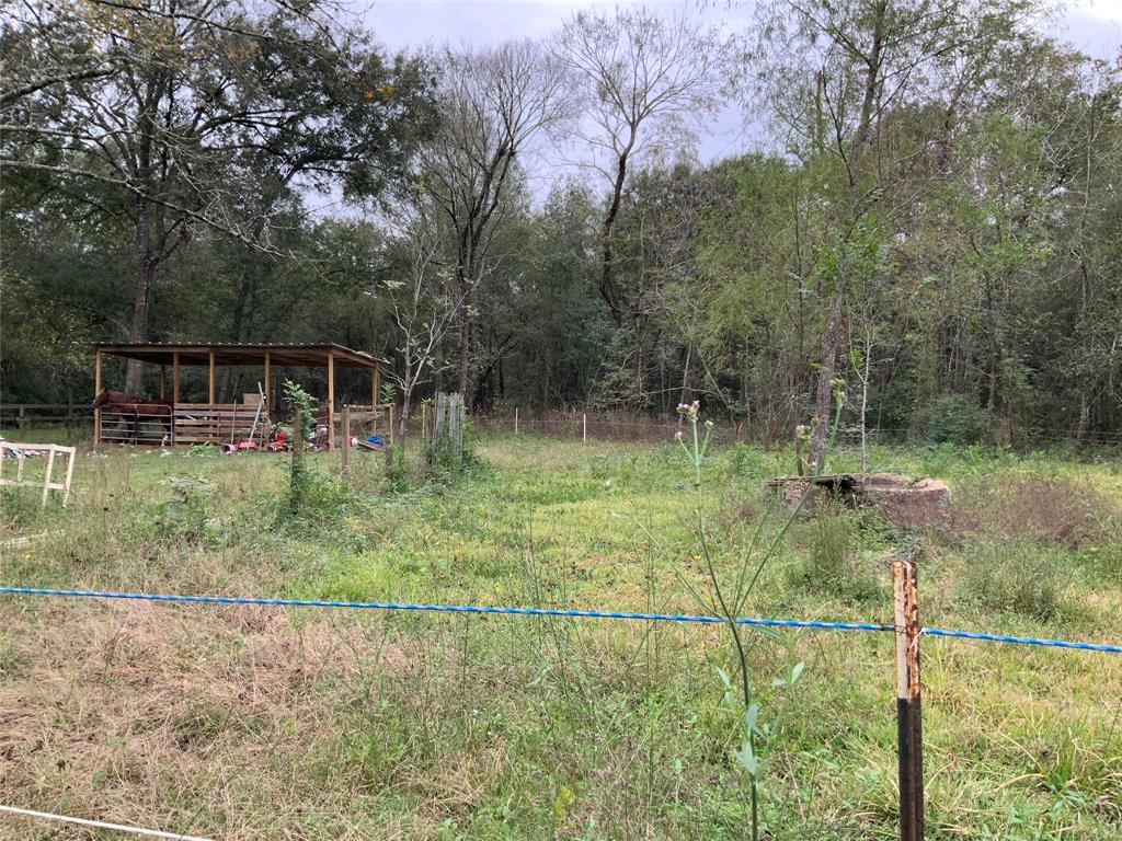 End Of Grand Avenue, Liberty, Texas image 7