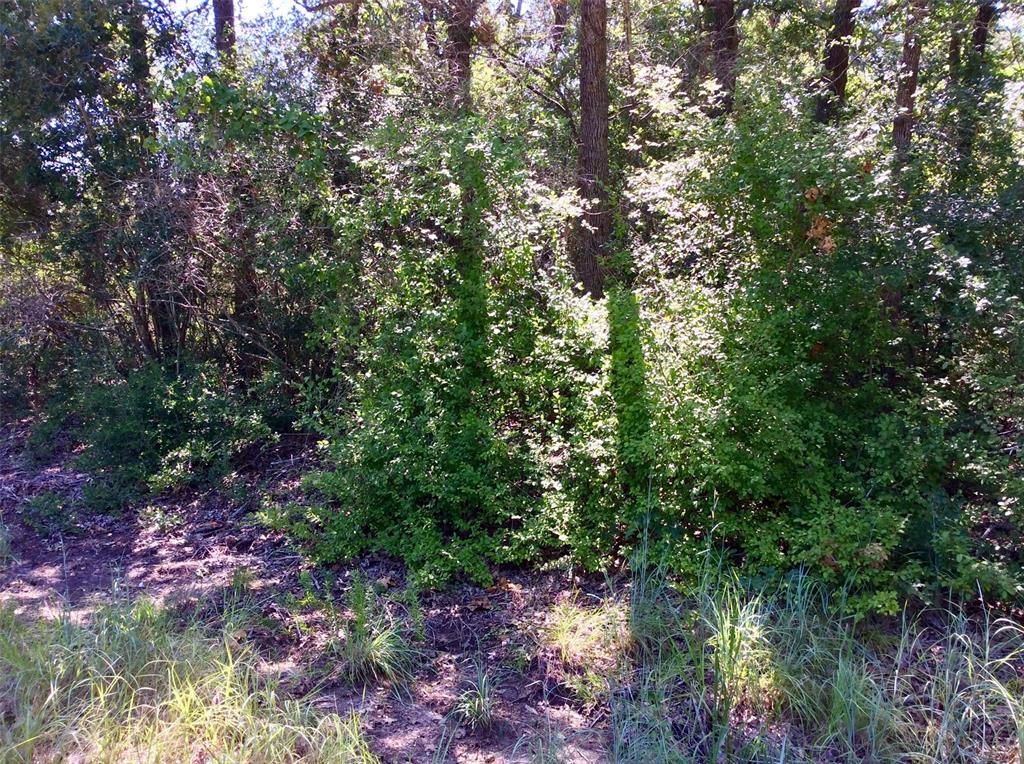 TBD Wolf Run, Somerville, Texas image 1