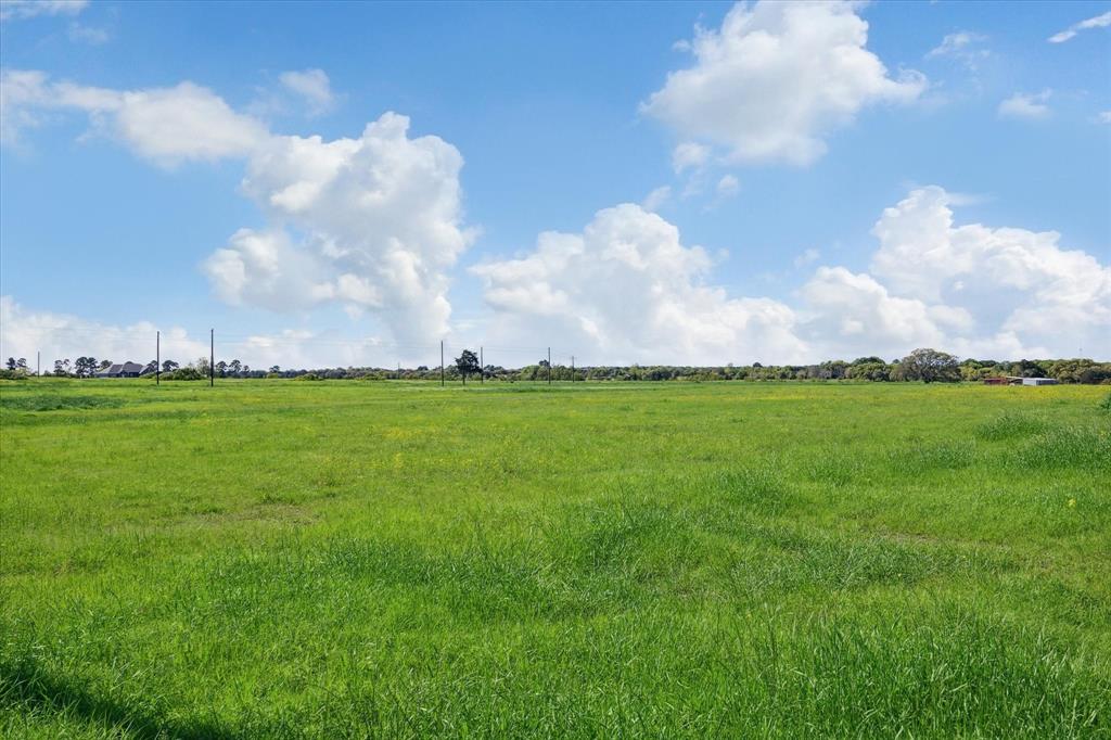 LOT 39 Acres Ridgeview Drive, Cat Spring, Texas image 13